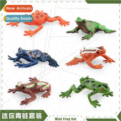 Frog Pond Lotus Leaf Wooden Blocks Trees Microscopic Scene M