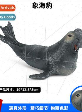 Science education toys simulation marine wildlife model soli