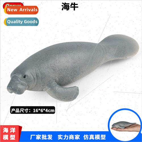Marine life wildlife model manatee walrus underwater world c