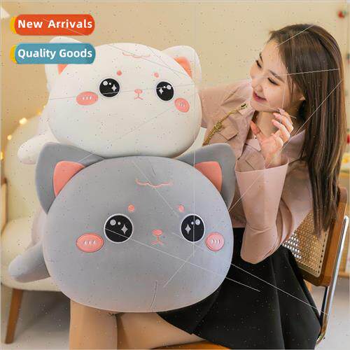 Cat plush toys适用children girls gift cute doll sleep pillow