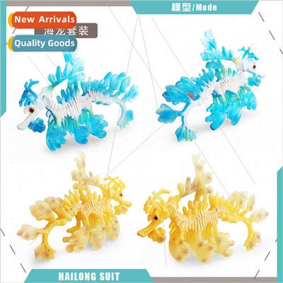 Sea dragon model poplar fish money skewer undersea creatures