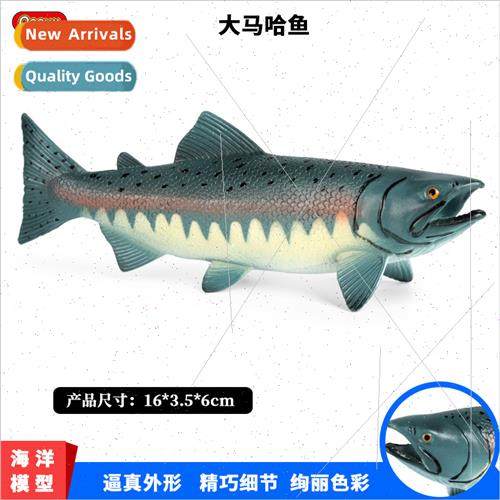 Solid model children cognive science teaching plastic toys n