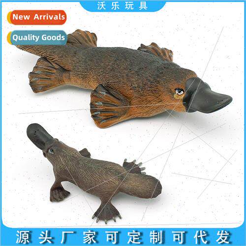 Wild Mammal Children Cognive Platypus Model Australian Duck