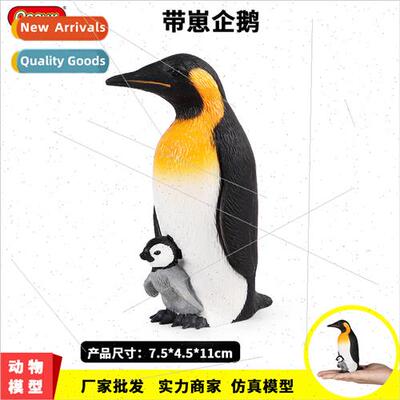 teaching aids simulation solid model Arctic penguins wh pups
