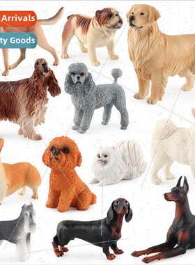 simulation animal model dog golden retriever teddy schnauzer
