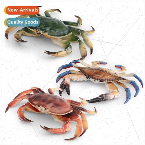 Solid marine underwater creature model crab red star pike cr