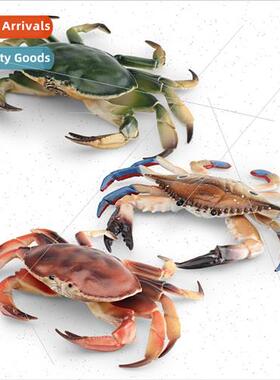 Solid marine underwater creature model crab red star pike cr