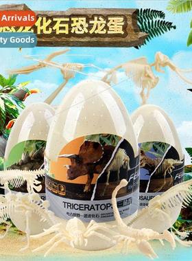 Dinosaur fossil skeleton animal model eggshell mounted Tyran