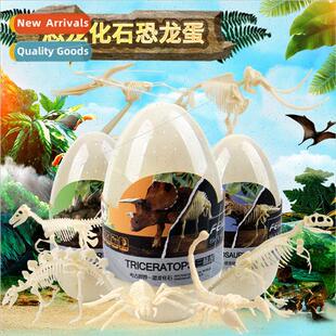 Dinosaur fossil skeleton animal model eggshell mounted Tyran