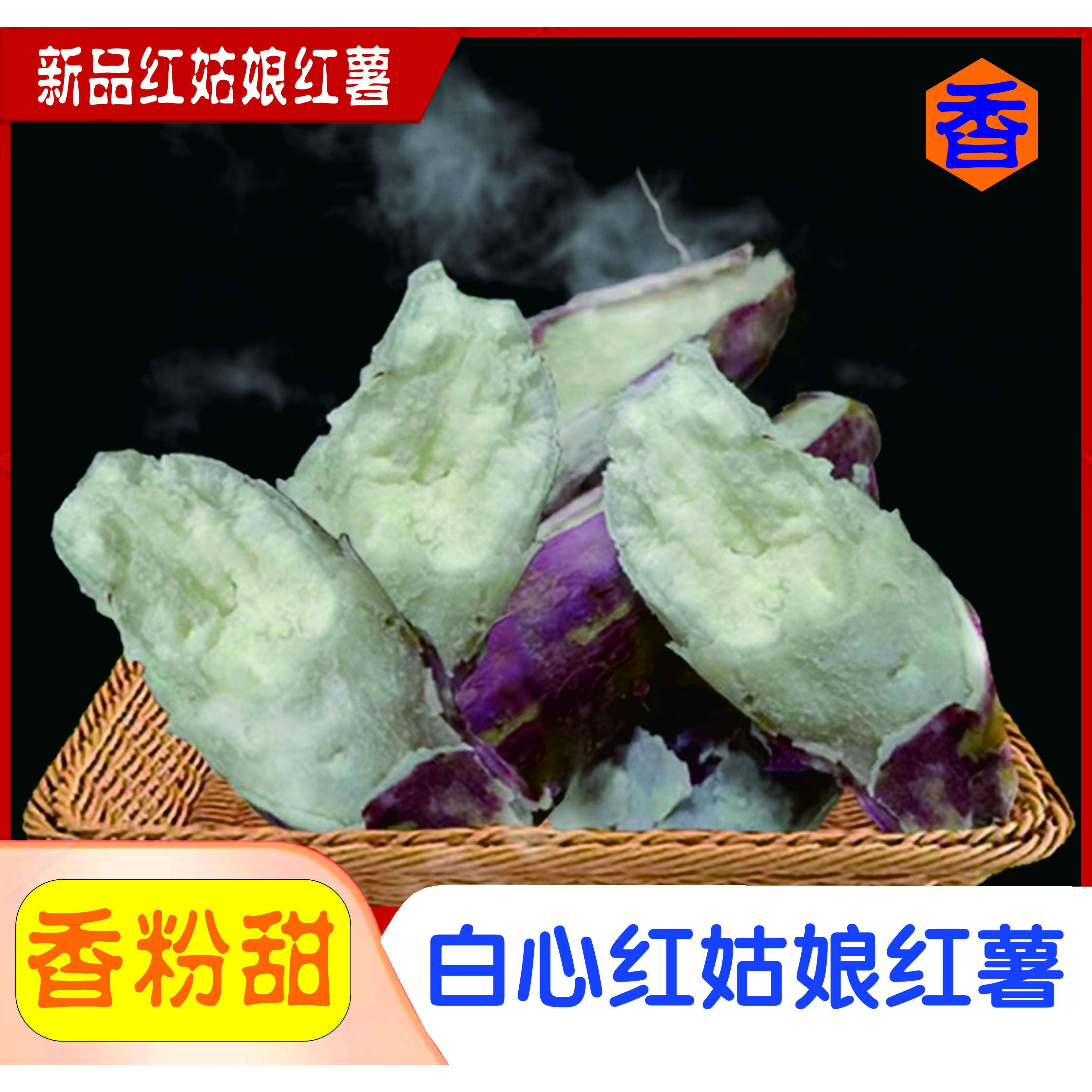 防城港东兴粉糯白心红姑娘红薯