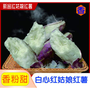 防城港东兴粉糯白心红姑娘红薯