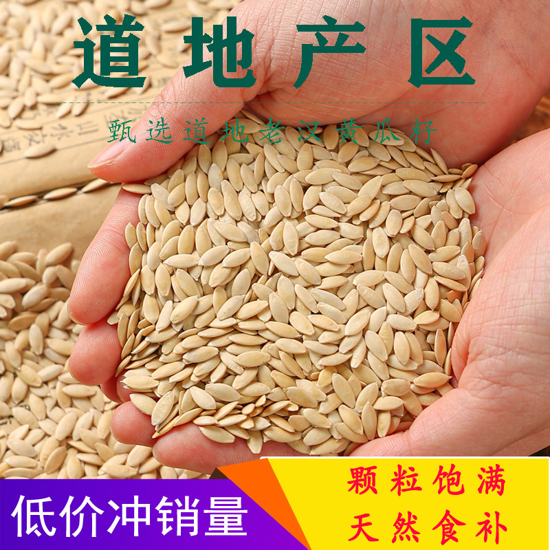 东北老旱黄瓜籽生籽熟籽现磨黄瓜籽食用 - 实物图
