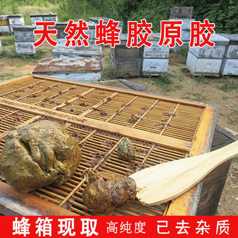 【老金沟】尼龙网蜂胶天然蜂胶原胶精选蜂胶纯蜂胶蜂原胶蜂毛胶