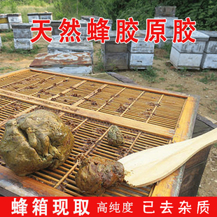 尼龙网蜂胶天然蜂胶原胶精选蜂胶纯蜂胶蜂原胶蜂毛胶 老金沟
