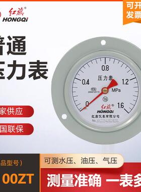 红旗仪表Y100ZT轴向带边压力表真空表