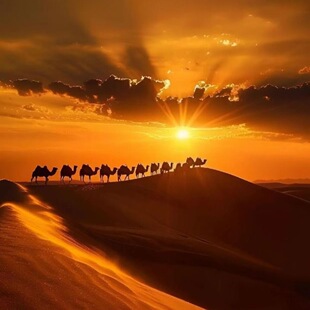 内蒙古库布齐沙漠细沙 宝宝玩具沙 消防沙实验沙动物冬眠沙防汛沙