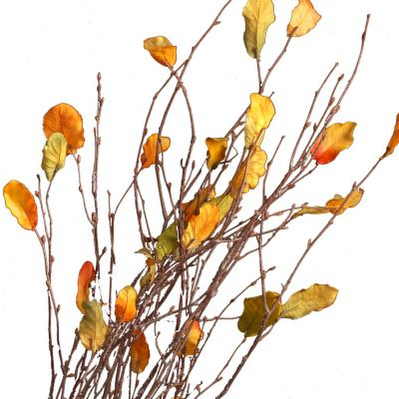 极速干燥树枝干h燥花客厅装饰枯树枝装饰树叶装饰干燥树枝树干树