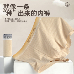 霞湖世家男士 2308 5A抗菌親膚透氣不悶熱無痕彩棉內(nèi)褲 平腳內(nèi)褲