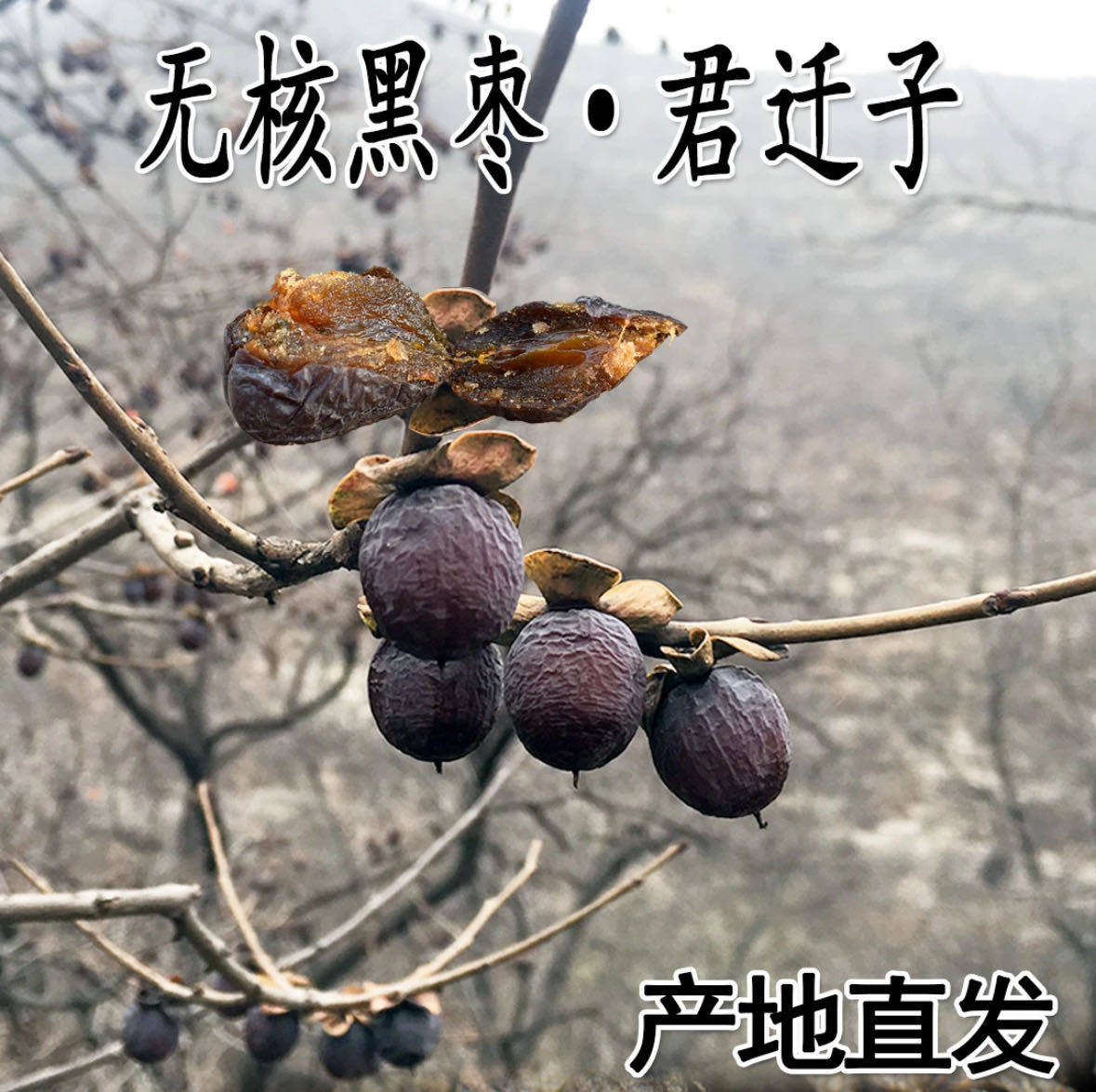 太行山无核黑枣官方旗舰店正宗黑枣特级大乌枣野软枣小柿子君迁子