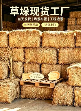 丰收季稻草垛网红打卡引流定制