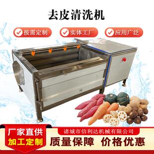商用毛刷菠萝去皮清洗机 芋头去泥清洗机 红薯西洋参去皮设备