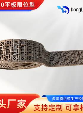 0跨境出口WYZ塑带料网1600平板限配位模块网链150输送件
