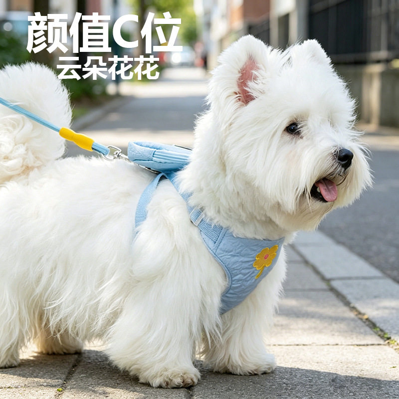 狗狗牵引绳遛狗绳中小型犬用宠物胸背带小狗书包外出遛狗储物胸背