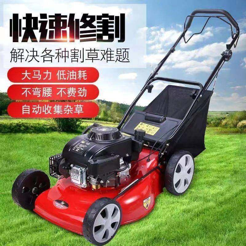 手推式汽油园林割草机全自动剪草机园林专用草坪机小型杂草修剪机,农机/农具/农膜,割灌机/割草机/油锯,淘宝优惠券,粉丝福利购,淘宝优惠卷