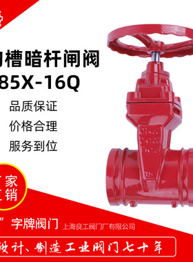 上海良工沟槽闸阀球墨铸铁消防沟槽闸阀Z85X-16Q手动闸阀DN100/80