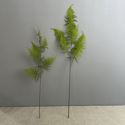 仿真植毛文竹蕨类植物手感金丝蕨