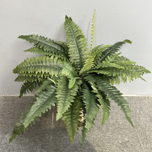 36叶波斯叶仿真绿植蕨类植物波士顿蕨叶尖尾波斯草装饰人造绿植