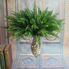 Tường cây cỏ 7 nhánh dương xỉ mô phỏng Lá Ba Tư lá dương xỉ cây xanh cỏ bàn hoa nhựa nhân tạo hoa trang trí lá cây giả trang trí cành hoa mai giả