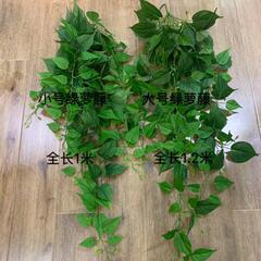bình hoa giả trang trí phòng khách Cây thường xuân lớn màu xanh lá cây củ cải treo tường mô phỏng mây giả hoa trang trí hoa dây leo đám cưới lá cây nho rừng nền chụp ảnh lan gia hac cây giả trang trí trong nhà