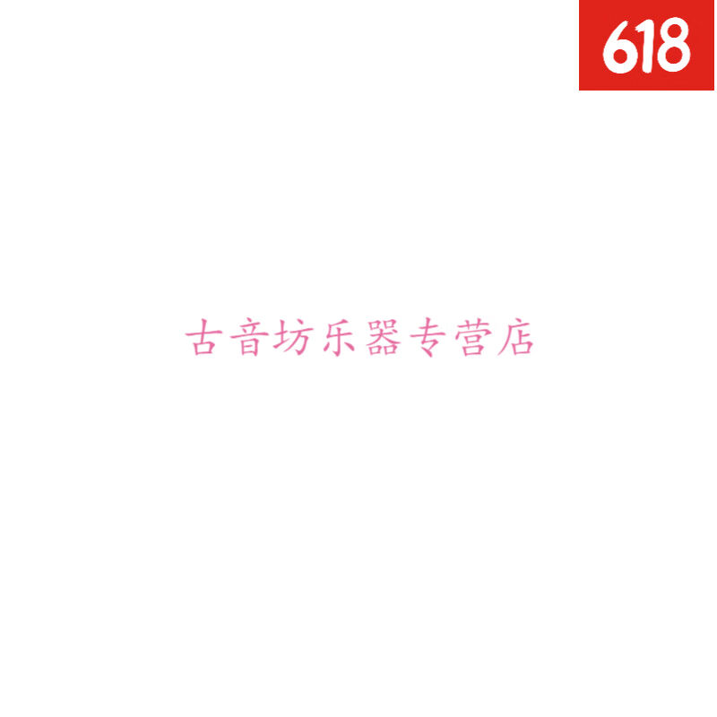 长笛金金音长笛长笛乐器16孔C2008金银双色长笛初