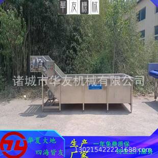 全自动竹笋挂冰机连续式果蔬包冰机海产品裹冰挂冰设备