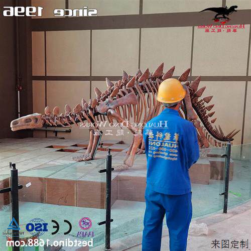 自贡大型仿真化石恐龙厂家恐龙化石骨架模型制作博物馆展览