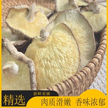 包邮 新鲜农家干香菇干货干蘑菇商用散装 大香菇非碎片食用菌类500g