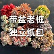 多肉植物带盆阳台盆栽组合新手花草花卉绿植玉露红宝石橙梦露套餐