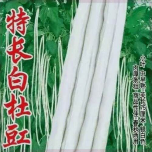 特长白豇豆种子 高产厚肉甜豆角 长豆角大田春夏秋季 蔬菜种子