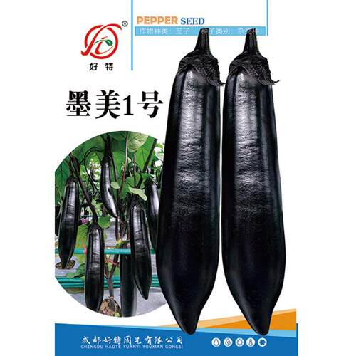 墨美一号黑茄子种子早熟