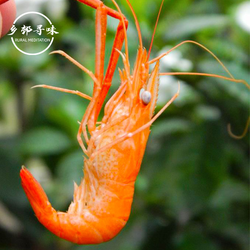 野生小河虾淡水无盐虾子红虾虾皮农家河虾水草虾土虾焯水发后发货