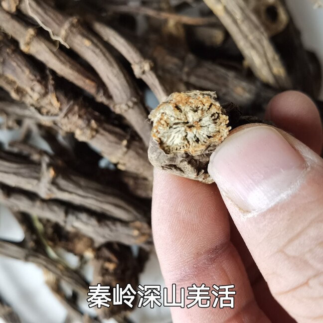 秦岭深山新鲜羌活个子竹节羌非蚕羌中药材川条羌500g包邮新货无硫