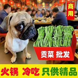 安徽义门批发无叶特级商用贡菜新鲜苔干农家干货土火锅脱水蔬菜干