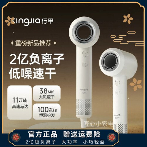 行甲吹风机负离子家用大功率11万