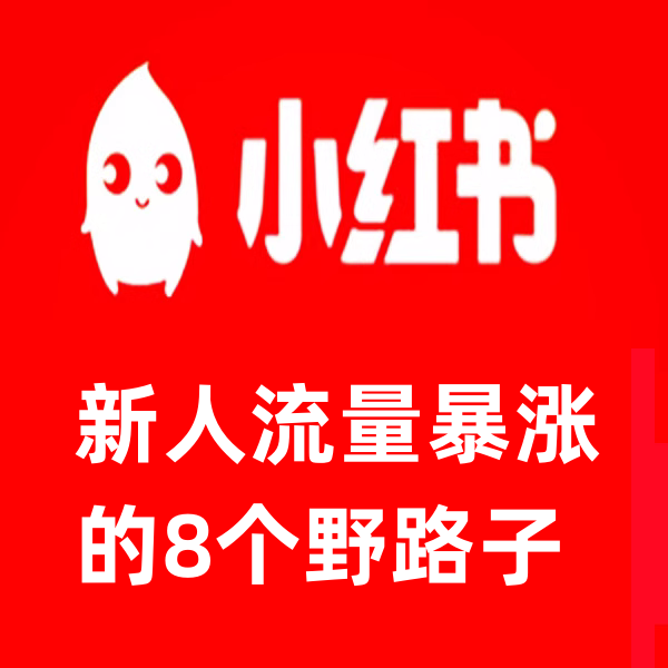 红书流量暴涨的8个野路子红薯新人快速流量破局底层逻辑电子视频