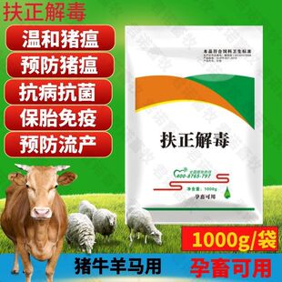 兽用扶正解毒散猪牛羊圆环蓝耳抗病毒鸡鸭清瘟毒猪中药扶正抗病毒