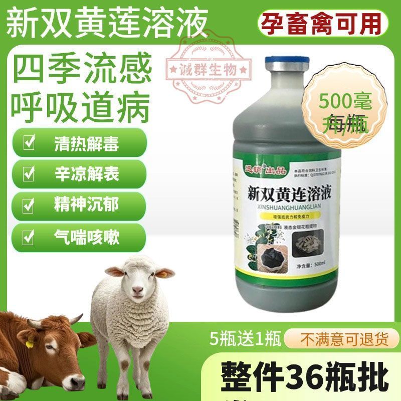 双黄连溶液兽用鸡药鸡鸭鹅猪羊牛发热感冒咳嗽止咳流感兽用抗病毒