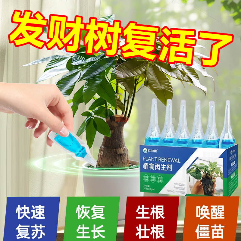 发财树营养液再生剂浓缩植物养花卉盆栽家庭园艺肥料叶子发黄专用