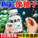 鱼缸除藻剂鱼缸去青苔剂净清除剂去除神器绿水绿褐藻丝藻克星专用