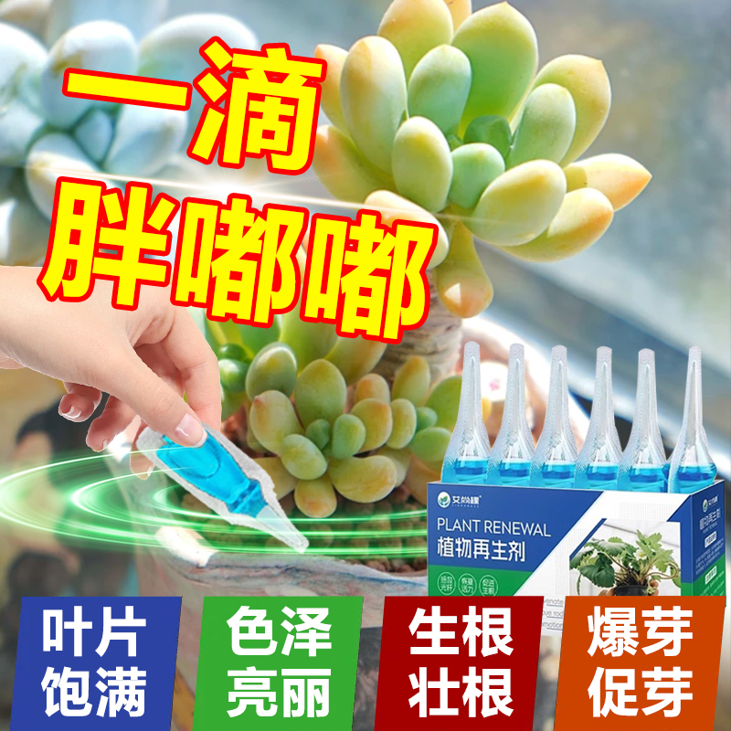 多肉营养液花肥料肉肉植物家用专用肥优芽素增色免稀释土壤活化剂
